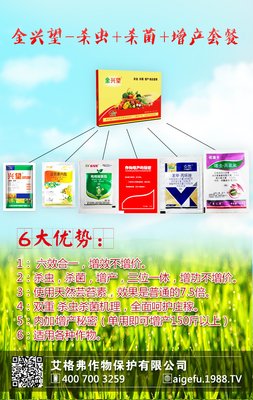 徒长的小麦