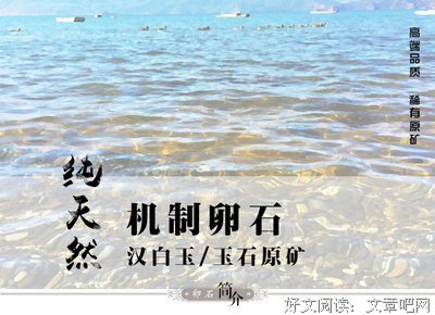 石头和鸭蛋