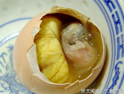 鸡蛋里的骨头
