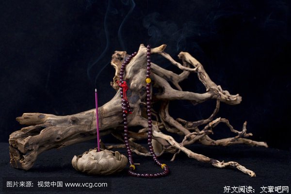 那个枯树桩