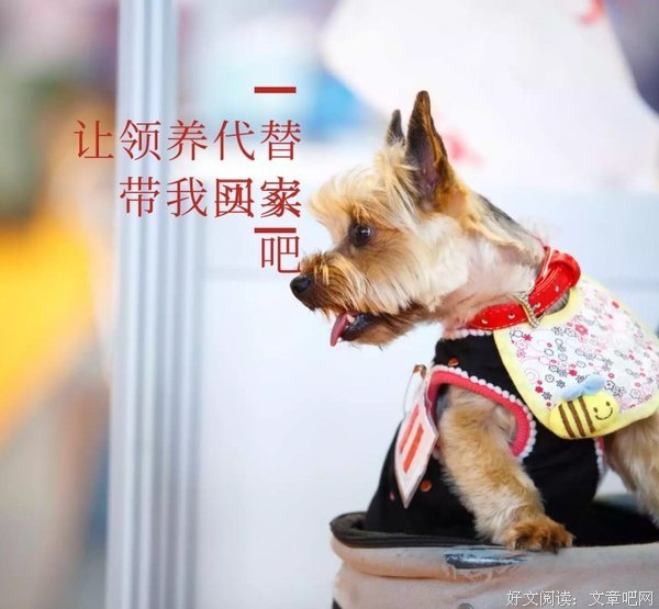 让对手成为你借力的对象