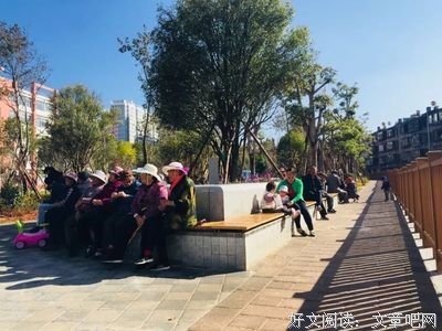 河埂边上的灌木