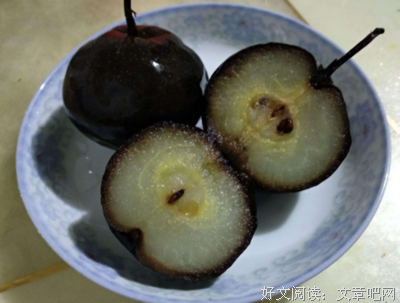 青柿子成了红柿子