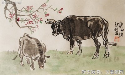 贪图安逸的牛