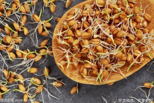 是种子，总会发芽的