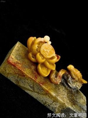 不急于出手的翠鸟