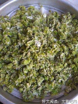 长在树上的姜