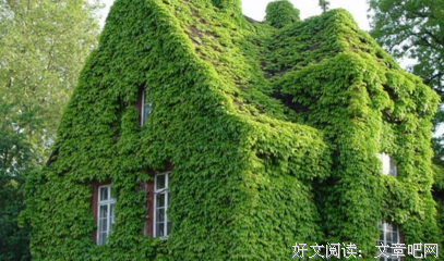 种什么，得什么