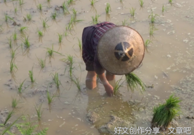 清水和浑水(外一篇)