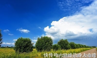 让蛇乖乖地走开