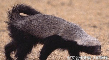 不乱了自己的节奏