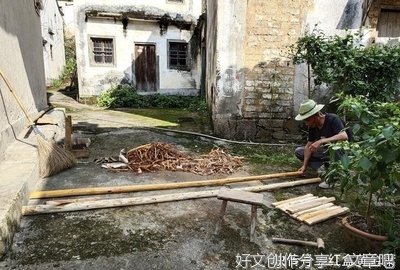 梨树的下面