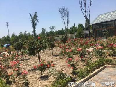 良田成了荒地