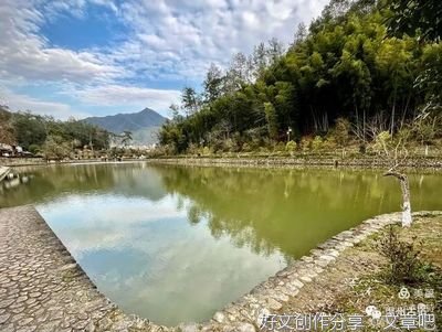 停下来的溪水
