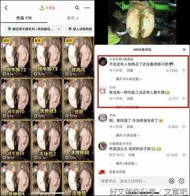 修蹄子