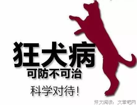 飞飞的故事