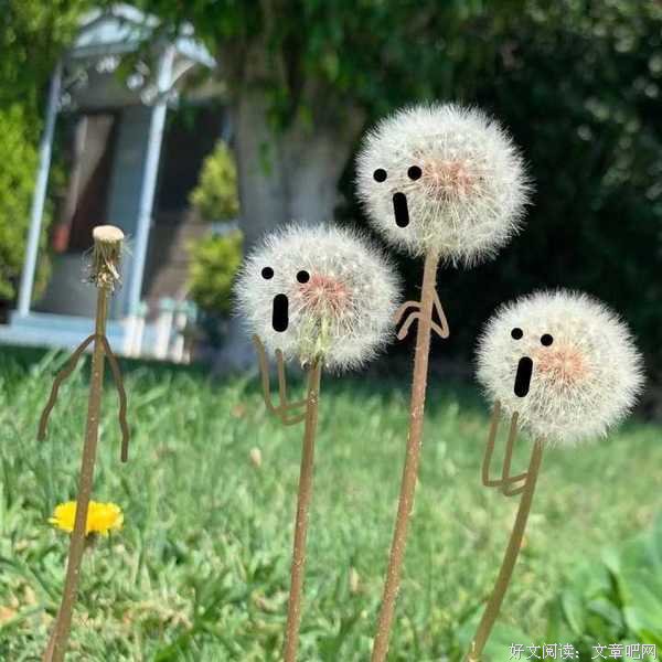 一个小故事引发的深思