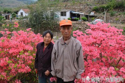 “1元名牌”致富经