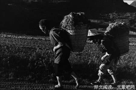 你的所谓岁月静好，只不过别人在替你负重前行！！！