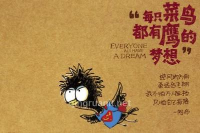 写给选择软件工程的你
