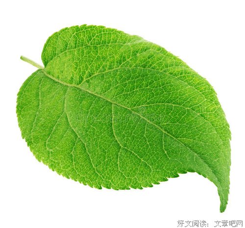 《励志名言》---------------
