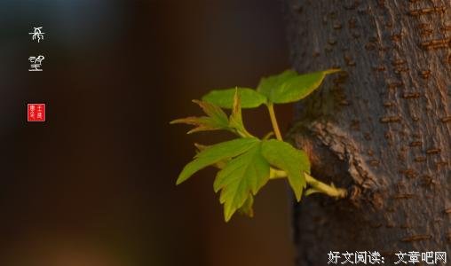 生活的答案，希望总在前方