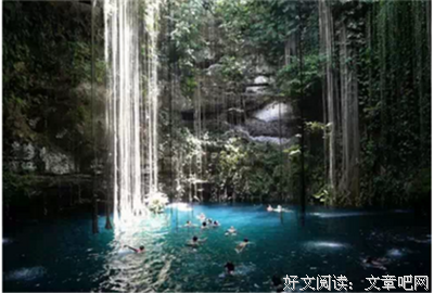  聪明得太迟