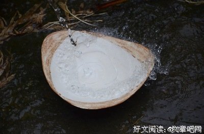  伴你领略红尘俗世那些爱