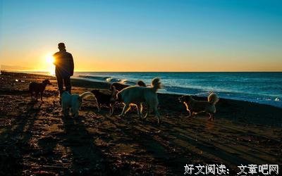 为什么我们越来越喜欢独处？