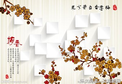 梅花香自苦寒来