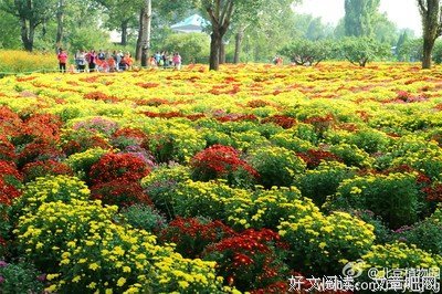 假日的临近