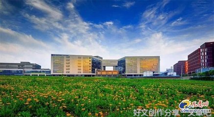  着力发挥科技创新引领作用