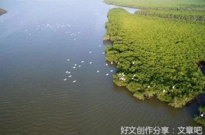  保护生态是我们的骄傲