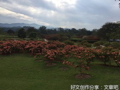 百花园中看百花