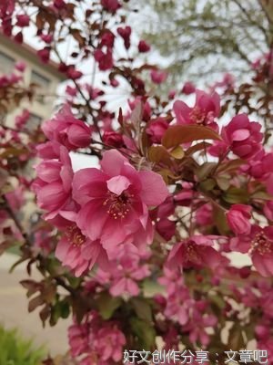 约会春天 约会幸福
