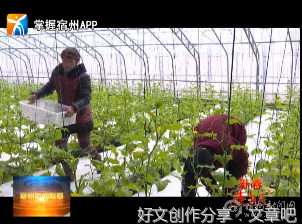 坚持 将会成就人生的叧一番景象