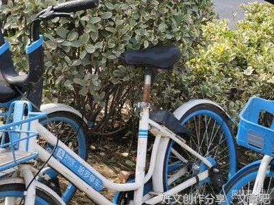  文明城市应该“千姿百态”