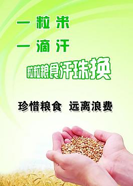 落实好节约粮食的制度