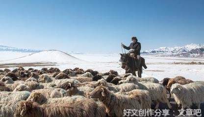 阿肯弹唱牧民新生活