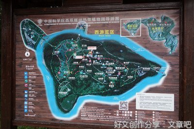  火红木棉绽放，游客纷至沓来