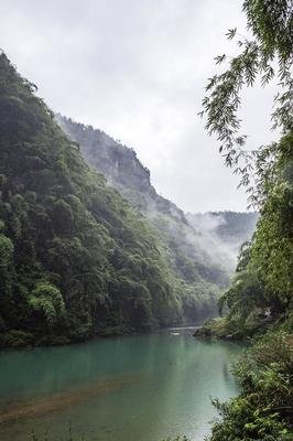 峡谷放歌醉人心