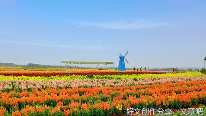 打造有湛江特色的“农业公园”
