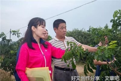 用心用情用力讲好湛江故事