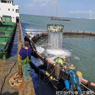 湛江大有可为