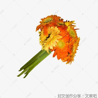 “一捧花生”见证为群众办实事“落地生根”