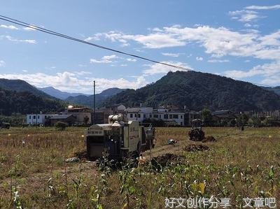 “小茶叶”成就乡村振兴“大事业”