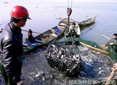 靠前“站”位 履职为民“零距离”