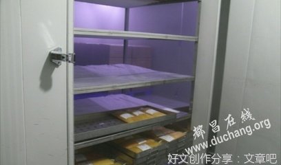 岀租车行业要内强素质外树形象