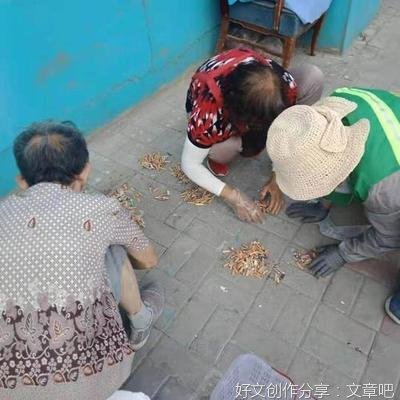 “鸡蛋旅行”彰显文明