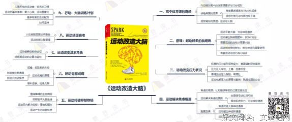 听《运动改造大脑》，让我更加爱运动